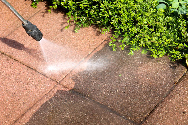 Best Roof Pressure Washing  in Union Mill, VA